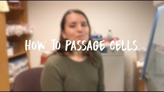 Passaging Cells [upl. by Koral]