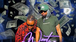 Pallaso amp Konshens  WANT MONEY Official Video [upl. by Yettie]