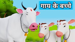 Gaay ke Bacche  Cow Cartoon  Cow Videos  Cow  Cow Dance  Cow Video  Gaiya  Cow Song  Cows [upl. by Teryn]