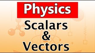 Scalars and Vectors  Physics  Science  Letstute [upl. by Xino239]