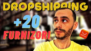 Furnizori Dropshipping Romania si International Dropshipping Suppliers [upl. by Ellerihs]