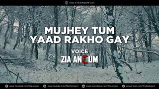 Mujhy Tum Yaad Rakho Gay  Sad Love Urdu Hindi Poetry  Zia Anjum [upl. by Christen]