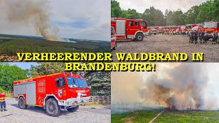 VERHEERENDER WALDBRAND  Über 60 Hektar Wald in Flammen   400 FEUERWEHRKRÄFTE im GROSSEINSATZ [upl. by Tressa]