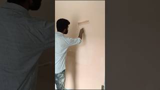 Hall Colour  Living room colour  8000  Perfect Peach  homepainting004 satisfying viralreels [upl. by Kosel]