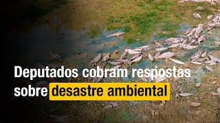 Morte de peixes no rio Paraopeba preocupa comissão [upl. by Nageek]