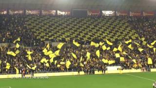 ביתquotר  חיפה  quotאני אוהב אותך ביתquotרquot060317  Beitar Fans [upl. by Elburr]