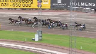 Åbytravet 2024 10 29 Lopp 7 [upl. by Brewster]