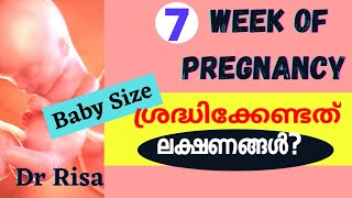 7 Week of Pregnancy Malayalam  Pregnancy Week By week  7 Week Pregnancy Symptoms [upl. by Columbine224]