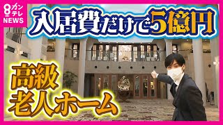 【入居金5億円超】富裕層に人気の高級老人ホーム 展望レストランや温泉・ジムなど高級ホテルのよう 月50万円以上利用料がかかる部屋も〈カンテレNEWS〉 [upl. by Naelcm]