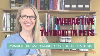 Overactive Thyroid in Pet Pancreatitis Cat Tumors Loose Stools and Asthma  Ask Dr Angie Krause [upl. by Demetrius]