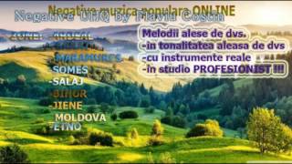 Maramures plai cu flori Negativ Demo tel 0743859919 [upl. by Ahsieym]