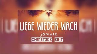 LIEGE WIEDER WACH  CHR1ST3KK EDIT HARDTEKK [upl. by Yerga]