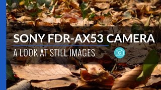 Still Images amp Photos  Sony FDRAX53 [upl. by Aicenaj]