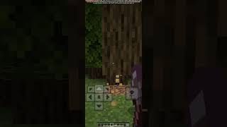 VeinMiner  Treecapitator in Minecraft Bedrock  Addon Edds VeinCapitator bedrock mcpe mods [upl. by Craner]