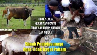 Kriteria Hewan Cacat yang Sah dan Tidak Sah untuk Kurban dan Aqiqah [upl. by Asha]