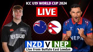 NEPAL u19 VS New Zeland ICC U19 WORLD CUP 2024 LIVE  NEP VS NZ LIVE MATCH WORLD CUP [upl. by Ettelohcin55]