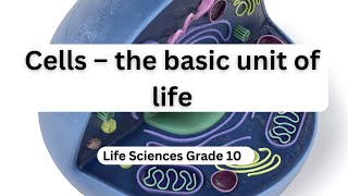 Cells – the basic unit of life II [upl. by Adnirak358]