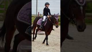 Ma ruru 💕 horse pony equestrian equitation cheval edit pourtoi fypシ゚viral youtubeshorts [upl. by Knarf]