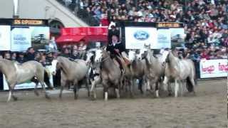 Entrevero de tropillas en La Rural 2012 [upl. by Hansen]