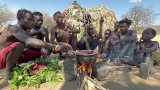 A THRILLING hunting culture of Hadza Tribe use bow and arrows to hunt for survival in the jungle [upl. by Ahsemad]