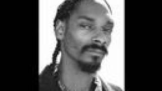 Snoop Dogg  Life of Da Party with Lyrics [upl. by Hanni]