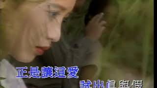 张学友  遥远的她 高清MV [upl. by Eilojne]