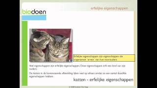 Biodoen  eigenschappen en chromosomen 1 van 5 [upl. by Lerred]