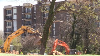 Demolition Tree Removal [upl. by Htiel]