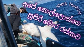 shark hunting episode 2 [upl. by Mingche]