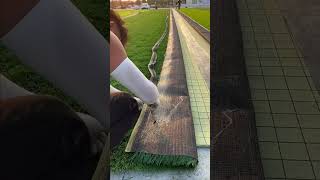 Cutting and gluing of artificial grass lawncare artificialgrass cutfaketurf [upl. by Mahda]