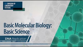 Basic Molecular Biology Basic Science – DNA Replication [upl. by Aissak]