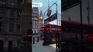 Study in the Heart of London  SRK  Reyna Overseas [upl. by Nnairak]