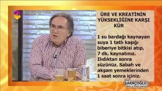 Böbrekte Üre ve Kreatinin Yüksekliği için Kür  DİYANET TV [upl. by Callas]