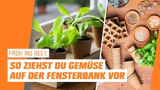 Anzucht auf der Fensterbank I OBI I Früh ins Beet – Folge 1 [upl. by Giffer466]