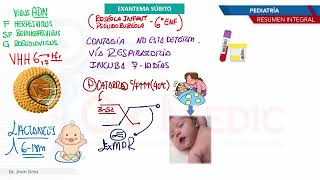 Pediatría  Exantemas Exantema subito [upl. by Anagrom]