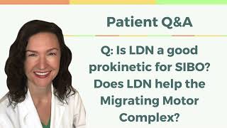 QampA Is LDN a Good Prokinetic for SIBO Does LDN Help the MMC [upl. by Assiroc]