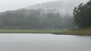 Thekkady boating [upl. by Low]