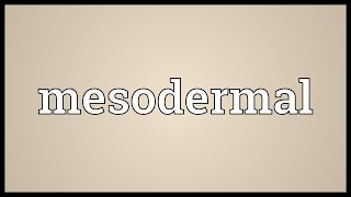 Mesodermal Meaning [upl. by Uhayile]