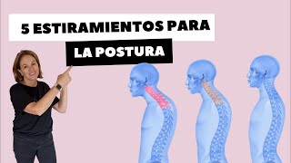 5 ESTIRAMIENTOS PARA LA POSTURA [upl. by Willman362]