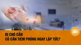 Nguy hiểm khôn lường khi trẻ bị chó cắn  Toàn cảnh 24h [upl. by Dralliw]