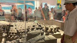 Drumheller dinosaur museum 🦖🦕capital of the world Alberta Canada reels fyp shorts viral [upl. by Greg]