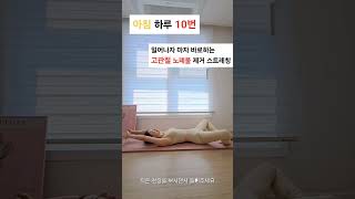 아침 하루 10번 일어나자 마자 바로하는 고관절 노폐물 제거 스트레칭 스트레칭 골반운동 골반교정 어깨운동 [upl. by Dev688]