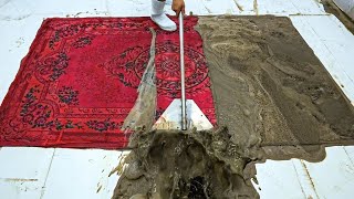 Sewer Overflow  lncredible dirty Carpet Cleaning Satisfying  Satisfying Video ASMR Cleaning [upl. by Matilde]