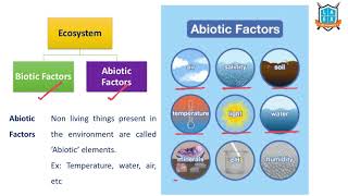 Biotic amp Abiotic Component Ecological Relationships for Grade 7 [upl. by Vivia]