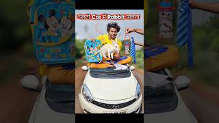 चलती Car मे खरगोश🐰पालना 🤣 rabbit comedy [upl. by Nwahsyar]