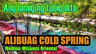 ALIBUAG COLD SPRING  Medina Misamis Oriental [upl. by Harriot]