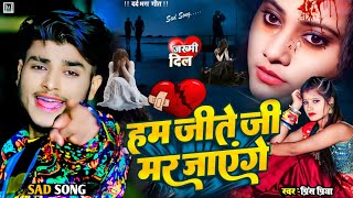 दर्दभरी गजलें 2024  Bewafai Prince Priya sad song  Jakhmi Jukebox gana Prince Priya gana gazalen [upl. by Herrod346]