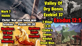 🩸 Mark 7 Moral Grey Pharisee Tradition Life Bones Red Heifer amp Ezekiel 37 Christ God Gospel [upl. by Iron722]