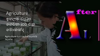 tissue culture after alagricultureagriculture school NVQ6tissue culture sri lanka [upl. by Vivian]