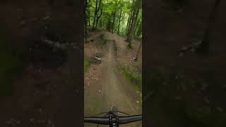 Step up at local woods mtb mtbpictureoftheday downhill [upl. by Lark]